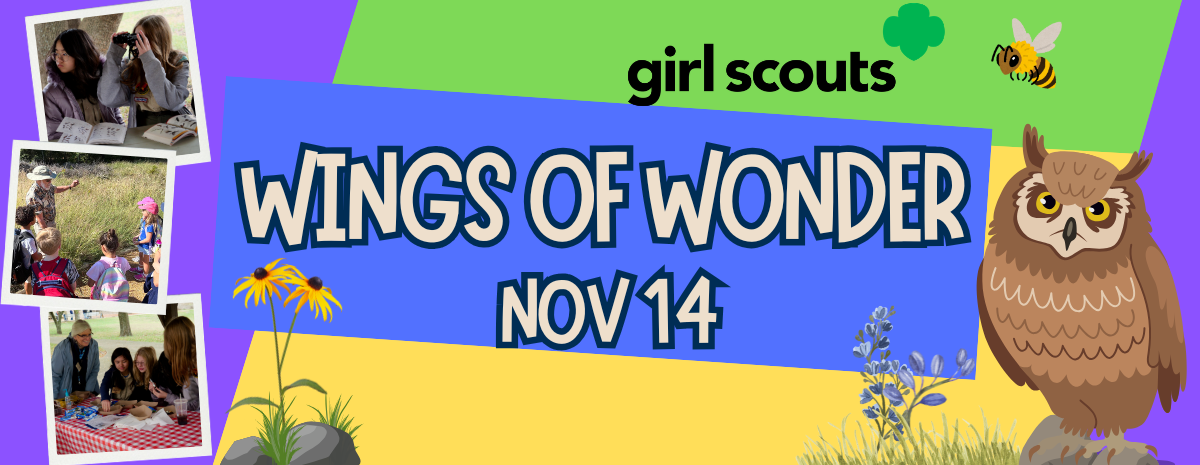 Girl Scout Wings & Wonders